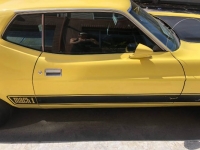 1973 Ford Mustang for sale in Michigan (ID-114151)