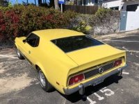 1973 Ford Mustang for sale in Michigan (ID-114151)