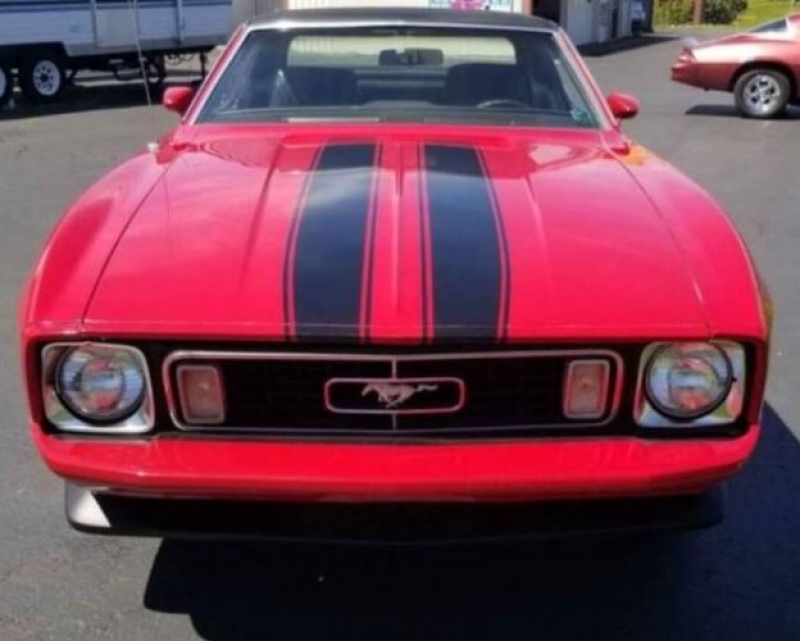 1973 Ford Mustang for sale in Michigan (ID-114299)
