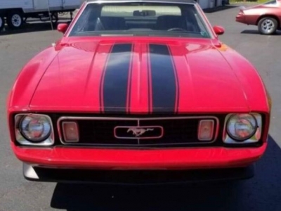 1973 Ford Mustang for sale