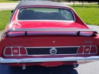 1973 Ford Mustang for sale in Michigan (ID-114299)