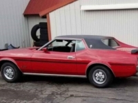 1973 Ford Mustang for sale in Michigan (ID-114299)