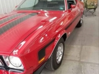 1973 Ford Mustang for sale in Michigan (ID-114299)