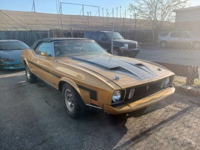 1973 Ford Mustang for sale