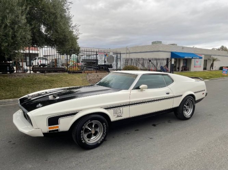 1973 Ford Mustang for sale in Michigan (ID-116598)
