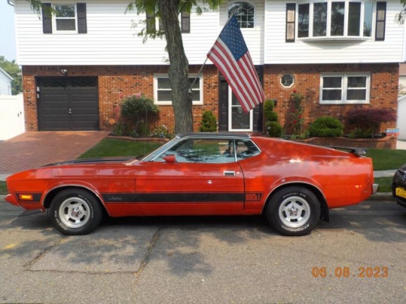 1973 Ford Mustang for sale in Michigan (ID-117255)