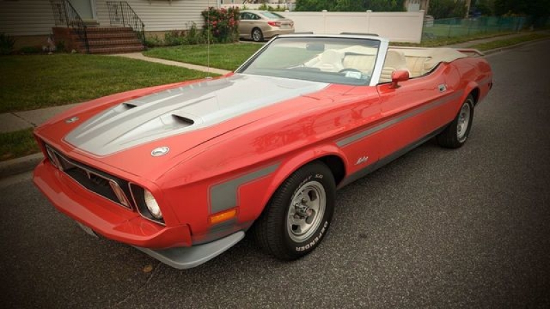 1973 Ford Mustang for sale in Riverhead, New York (ID-117271)