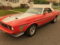 1973 Ford Mustang for sale in Riverhead, New York (ID-117271)