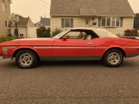 1973 Ford Mustang for sale in Riverhead, New York (ID-117271)