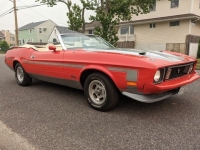 1973 Ford Mustang for sale in Riverhead, New York (ID-117271)