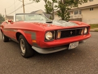 1973 Ford Mustang for sale in Riverhead, New York (ID-117271)