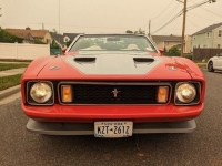 1973 Ford Mustang for sale in Riverhead, New York (ID-117271)