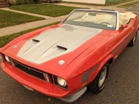 1973 Ford Mustang for sale in Riverhead, New York (ID-117271)