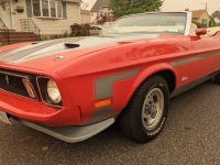 1973 Ford Mustang for sale in Riverhead, New York (ID-117271)