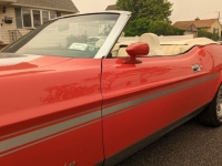 1973 Ford Mustang for sale in Riverhead, New York (ID-117271)