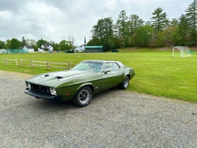 1973 Ford Mustang for sale