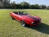 1973 Ford Mustang for sale in Michigan (ID-118199)