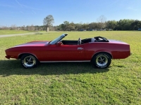 1973 Ford Mustang for sale in Michigan (ID-118199)