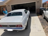 1973 Ford Mustang for sale in Michigan (ID-119249)