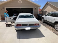 1973 Ford Mustang for sale in Michigan (ID-119249)