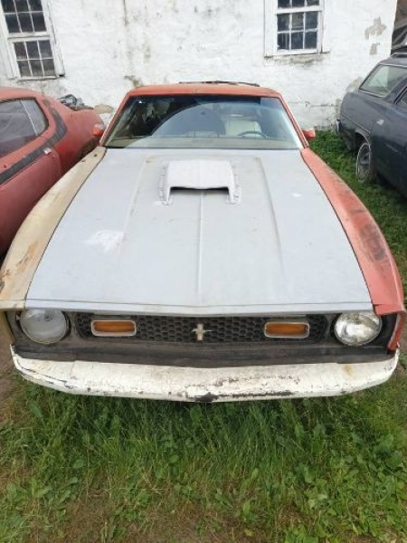 1973 Ford Mustang for sale in Michigan (ID-119275)