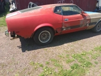 1973 Ford Mustang for sale in Michigan (ID-119275)