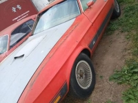 1973 Ford Mustang for sale in Michigan (ID-119275)