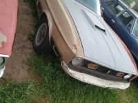 1973 Ford Mustang for sale in Michigan (ID-119275)