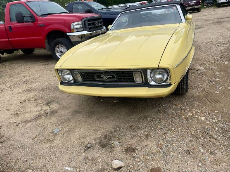 1973 Ford Mustang for sale in Michigan (ID-119608) 1973 Ford Mustang for sale in Michigan (ID-119608)