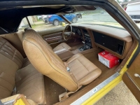 1973 Ford Mustang for sale in Michigan (ID-119608)