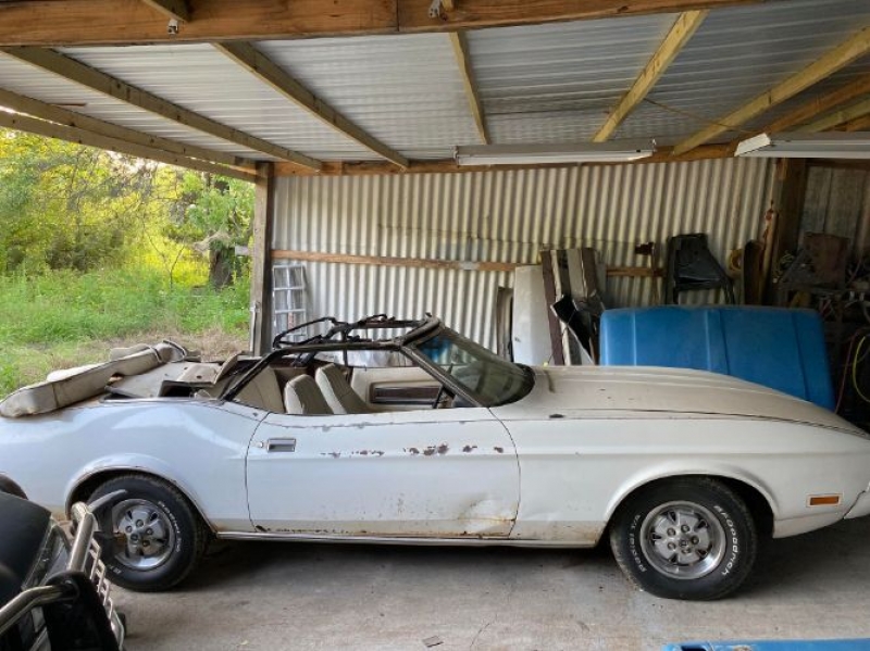 1973 Ford Mustang for sale in Michigan (ID-121138)