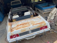 1973 Ford Mustang for sale in Michigan (ID-121138)