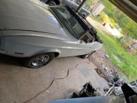 1973 Ford Mustang for sale in Michigan (ID-121138)