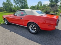 1973 Ford Mustang for sale in Michigan (ID-121320)
