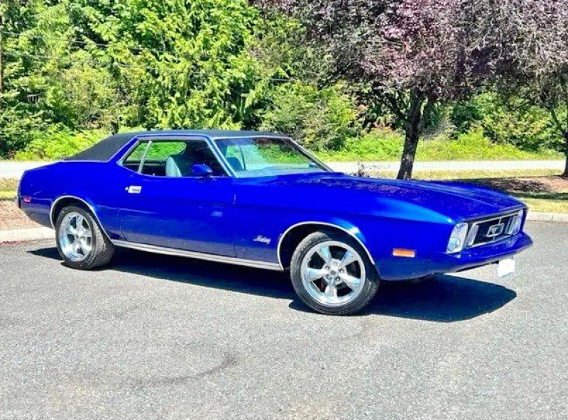 1973 Ford Mustang for sale in Michigan (ID-122228)