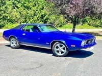 1973 Ford Mustang for sale in Michigan (ID-122228)