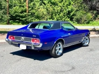 1973 Ford Mustang for sale in Michigan (ID-122228)