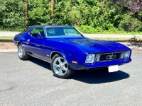 1973 Ford Mustang for sale in Michigan (ID-122228)