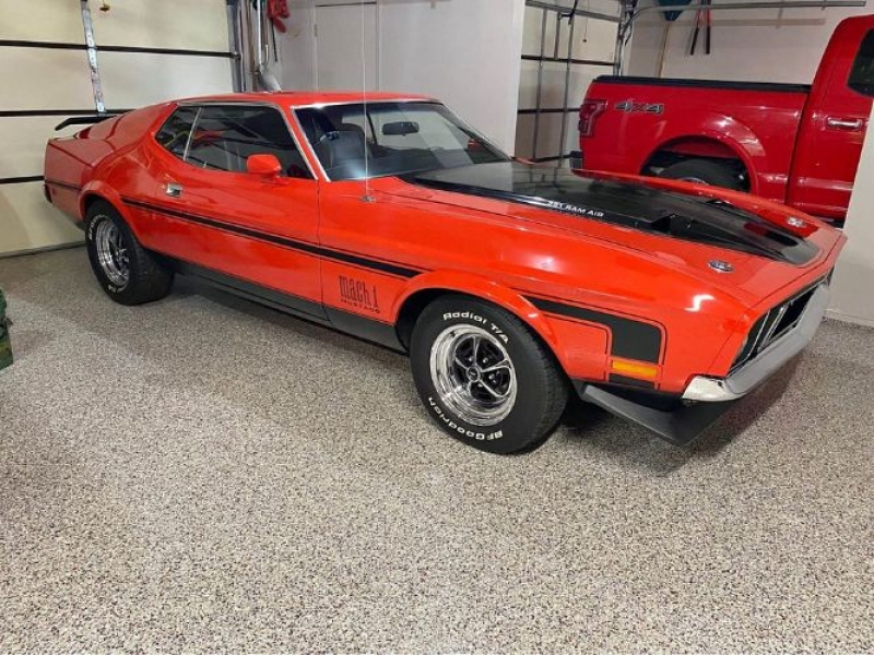 1973 Ford Mustang for sale in Michigan (ID-122248)