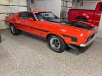 1973 Ford Mustang for sale in Michigan (ID-122248)