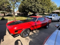 1973 Ford Mustang for sale in Michigan (ID-122248)