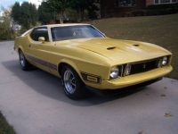 1973 Ford Mustang for sale in Michigan (ID-123400)