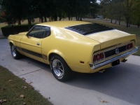 1973 Ford Mustang for sale in Michigan (ID-123400)
