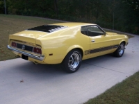 1973 Ford Mustang for sale in Michigan (ID-123400)