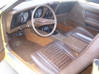 1973 Ford Mustang for sale in Michigan (ID-123400)