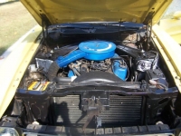 1973 Ford Mustang for sale in Michigan (ID-123400)