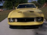 1973 Ford Mustang for sale in Michigan (ID-123400)