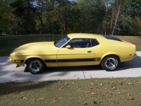1973 Ford Mustang for sale in Michigan (ID-123400)