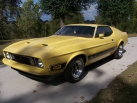 1973 Ford Mustang for sale in Michigan (ID-123400)