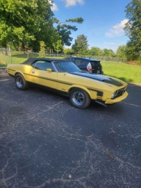 1973 Ford Mustang for sale in Michigan (ID-123513) 1973 Ford Mustang for sale in Michigan (ID-123513)